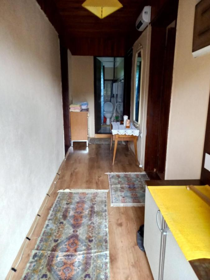 Apartment Sijakovic 모크라 고라 외부 사진