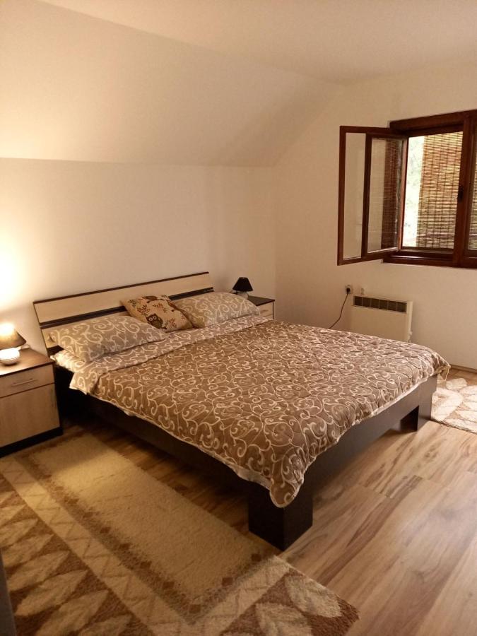 Apartment Sijakovic 모크라 고라 외부 사진